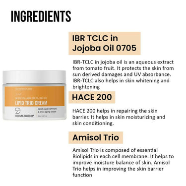 https://cdn.shopify.com/s/files/1/1857/6931/products/mznfwFBjV1.jpg?v=1668838515